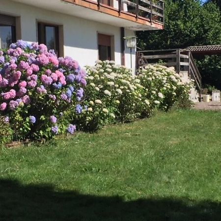 Villa Immersa Nel Verde A لانسو دينْتيلفي المظهر الخارجي الصورة