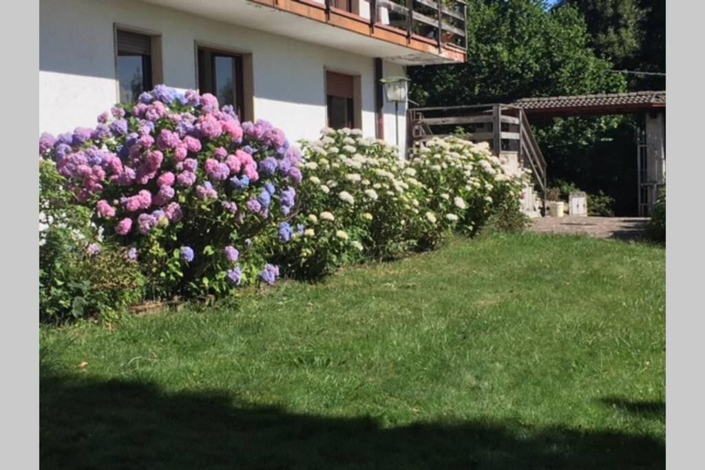 Villa Immersa Nel Verde A لانسو دينْتيلفي المظهر الخارجي الصورة